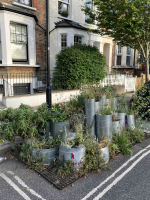 https://maerl.co.uk/files/gimgs/th-1_IMG_2606.jpg